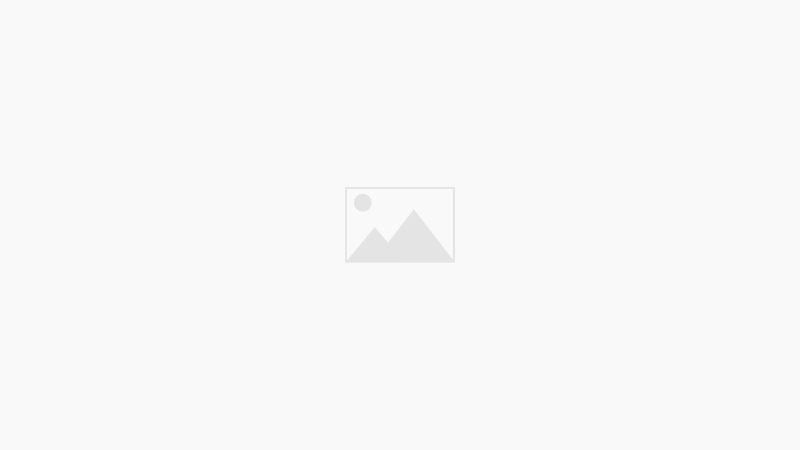 Une journée chez PROVETIQ